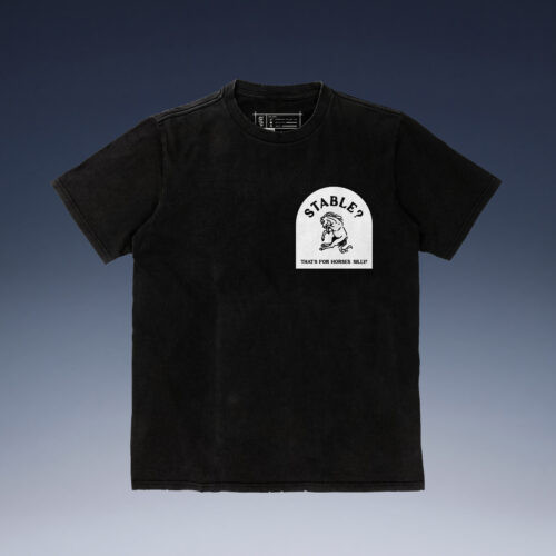 Stable? - T-Shirt